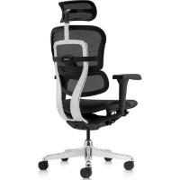 Scaun de birou Comfort T-168-B1 Ergohuman Ultra Black (EHU-AB-HAM-5D) imaginea #8 — magazin online Desire.md