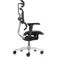 Scaun de birou Comfort T-168-B1 Ergohuman Ultra Black (EHU-AB-HAM-5D) imaginea #2 — magazin online Desire.md