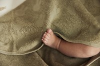 Полотенце для детей Jollein Terry Miffy Jacquard Olive Green 75x75cm (534-514-670870 фото №5 — интернет-магазин Desire.md