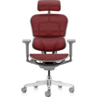 Офисное кресло Comfort T-168-B3 rgohuman Ultra Scarlet фото №4 — интернет-магазин Desire.md