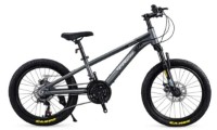 Bicicletă copii Phoenix 22 Grey/Black (2350D) imaginea #1 — magazin online Desire.md
