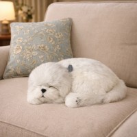 Jucărie de pluș Perfect Petzzz Maltese Puppy (737412996415)