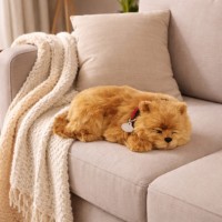 Jucărie de pluș Perfect Petzzz Pomeranian Puppy (737412996316)