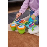 Ксилофон Hola Toys (38003) фото №6 — интернет-магазин Desire.md