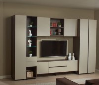 Dulap pentru perete Ambianta Kosmo 0.6m Door Catania/Fungo imaginea #2 — magazin online Desire.md