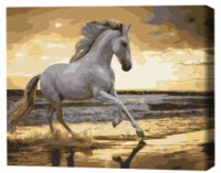 Tablou pe numere Brushme Бег рысью на побережье (BS30903FC)