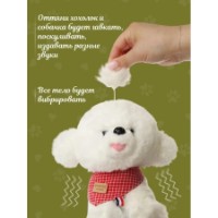 Jucarii interactive Essa Toys Pull Rape Cute Pet (6920250717876) imaginea #4 — magazin online Desire.md