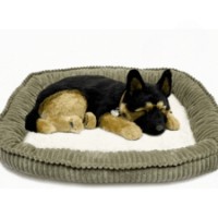 Jucarii interactive Perfect Petzzz German Shepherd (91-34)