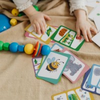 Joc educativ de masa Dodo Quiz Ghiceşte Animalul (301244) imaginea #4 — magazin online Desire.md