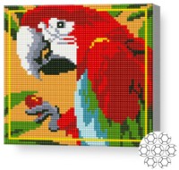 Алмазная мозаика Art Gallery Premium Bright Macaw (BJ738)