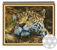 Алмазная мозаика Art Gallery Premium Leopard 40x50cm (QB203029)