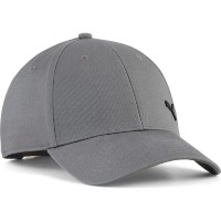 Chipiu Puma Ess Elevated Metal Cat Bb Cast Iron