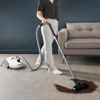 Пылесос для сухой уборки Rowenta RO3927EA фото №3 — интернет-магазин Desire.md