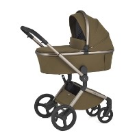 Carucior Anex 2in1 Flo Astra (FL-04) imaginea #1 — magazin online Desire.md