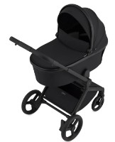Carucior Anex 2in1 Flo Lungo (FL-05)