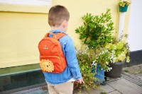 Rucsac pentru copii LittleLife Lion L17170 imaginea #2 — magazin online Desire.md