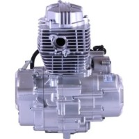 Motor pe benzina TATA СG 150СС imaginea #2 — magazin online Desire.md