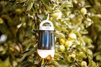 Lămpă anti-insecte Camry CR-7935 imaginea #4 — magazin online Desire.md