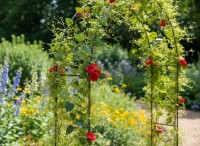 Suport plante GardenLine PERG-N3214 imaginea #3 — magazin online Desire.md