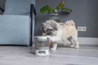 Jucărie pentru câini Beeztees Delicious 14 (619047) imaginea #2 — magazin online Desire.md