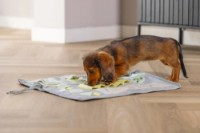 Covorașul de joacă pentru câini Beeztees Doeka Grey 50x45cm (619918) imaginea #2 — magazin online Desire.md