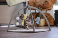 Covorașul de joacă pentru pisici Beeztees Xabia Grey 40x33cm (619954) imaginea #2 — magazin online Desire.md