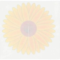 Набор липких лент от насекомых ProGarden 4pcs 9X9cm (57401) фото №2 — интернет-магазин Desire.md