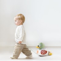 Игрушка каталка Hola Toys Duck Family (HE9976) фото №3 — интернет-магазин Desire.md