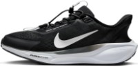Кроссовки мужские Nike Pegasus EasyOn Black/White/Anthracite/Photon Dust, s.43 фото №2 — интернет-магазин Desire.md
