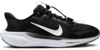 Кроссовки мужские Nike Pegasus EasyOn Black/White/Anthracite/Photon Dust, s.46 фото №3 — интернет-магазин Desire.md
