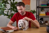 Jucarii interactive Mattel Minecraft: Dennis Ferture Plush (194735346219) imaginea #4 — magazin online Desire.md