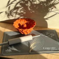 Форма для выпечки Casa Masa Pavone 25.5cm (HS003) фото №2 — интернет-магазин Desire.md