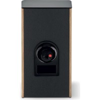 Sistem acustic Focal Aria Evo X N1 Prime Walnut imaginea #4 — magazin online Desire.md