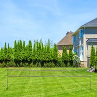 Plasă pentru badminton Nils NT300  imaginea #9 — magazin online Desire.md