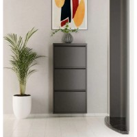 Rafturi pentru pantofi Trendy 3 Piece Metal Anthracite 50x103x15cm GTR007905 imaginea #2 — magazin online Desire.md