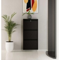 Rafturi pentru pantofi Trendy Locking 3 Piece Metal Black 50x103x15cm GTR007916 imaginea #3 — magazin online Desire.md