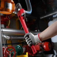 Clește reglabile Ronix RH-2555 imaginea #2 — magazin online Desire.md