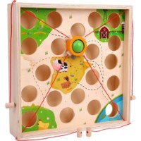 Joc educativ Edujoc Darent Child Ball Game (TT14608)