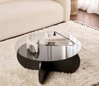 Măsuţă cafea Trendy Aeris Wood Black/Fume 75x35x75cm (GTR008174)