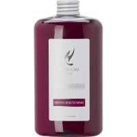 Umplutură pentru difuzor de aromă Hypno Casa Mosto D'Autunno 1299K
