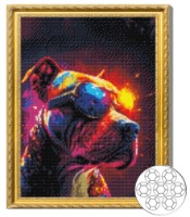 Алмазная мозаика Art Gallery Premium Cool Dog 40x50cm (GA84505)