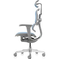Scaun de birou Comfort T-168-B4 Ergohuman Ultra Cobalt imaginea #4 — magazin online Desire.md