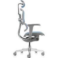 Scaun de birou Comfort T-168-B4 Ergohuman Ultra Cobalt imaginea #5 — magazin online Desire.md