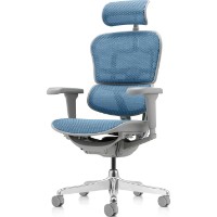 Scaun de birou Comfort T-168-B4 Ergohuman Ultra Cobalt imaginea #1 — magazin online Desire.md