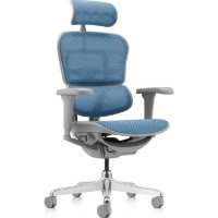 Scaun de birou Comfort T-168-B4 Ergohuman Ultra Cobalt imaginea #2 — magazin online Desire.md