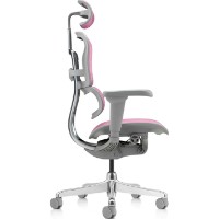 Scaun de birou Comfort T-168-B5 Ergohuman Ultra Pink imaginea #2 — magazin online Desire.md