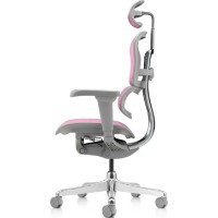 Scaun de birou Comfort T-168-B5 Ergohuman Ultra Pink imaginea #3 — magazin online Desire.md