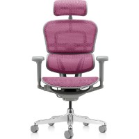 Scaun de birou Comfort T-168-B5 Ergohuman Ultra Pink imaginea #5 — magazin online Desire.md
