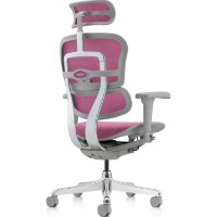 Scaun de birou Comfort T-168-B5 Ergohuman Ultra Pink imaginea #6 — magazin online Desire.md