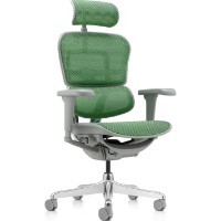 Scaun de birou Comfort T-168-B6 Ergohuman Ultra Green imaginea #2 — magazin online Desire.md